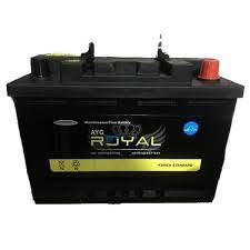 ayg-royal-220ah-12v-tall-tubular-battery